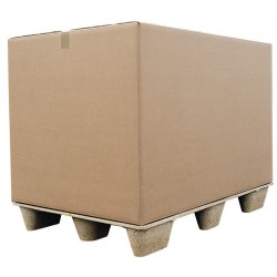 Carton container double densité