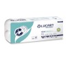 PAPIER HYGIENIQUE MENAGER AQUASTREAM (LOT DE 10 ROULEAUX)